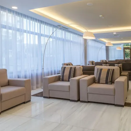 Steyler & Congress Hotel 4*