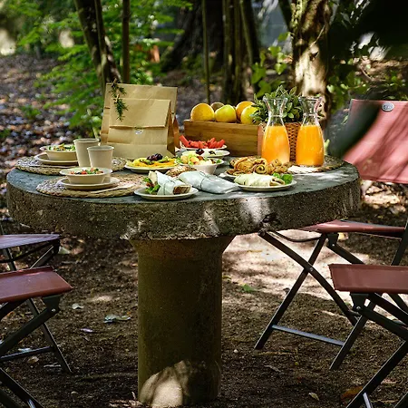 Steyler & Congress Hotel 4*