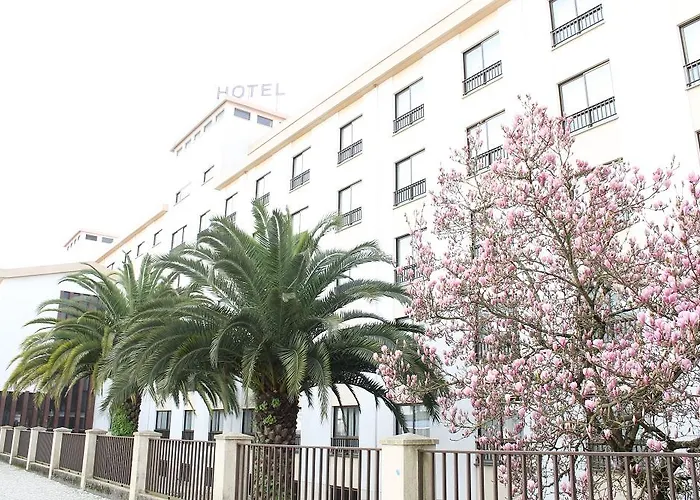 Steyler & Congress Fatima