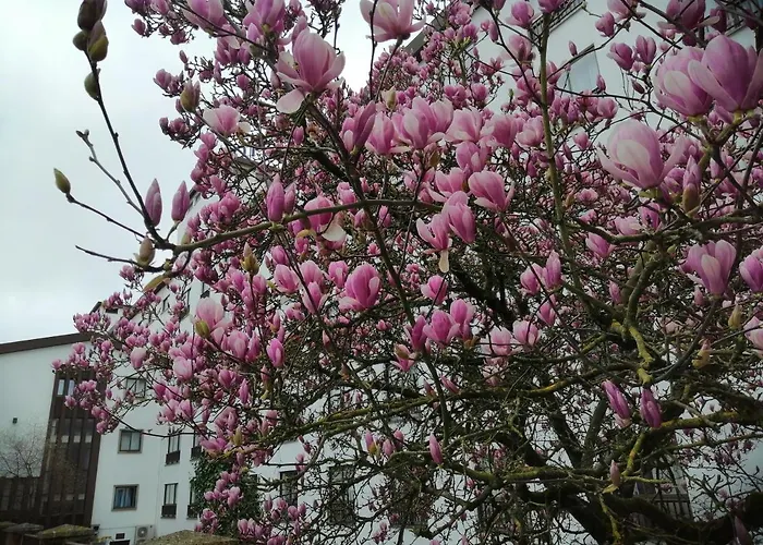 Steyler & Congress Szálloda Fátima